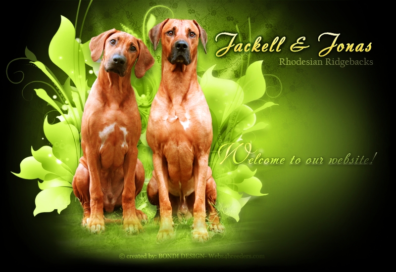 ridgebacks linki mudiwafeza